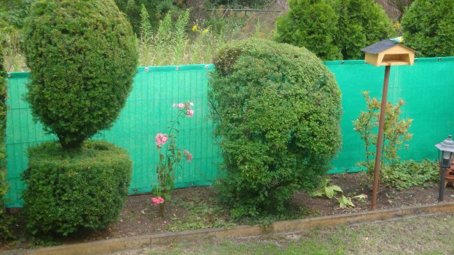 Sichtschutznetz 1m X 50m – Wind- & Hagelschutz, Schattiernetz, Grün, 150g/m², Mit Knopflochleisten
