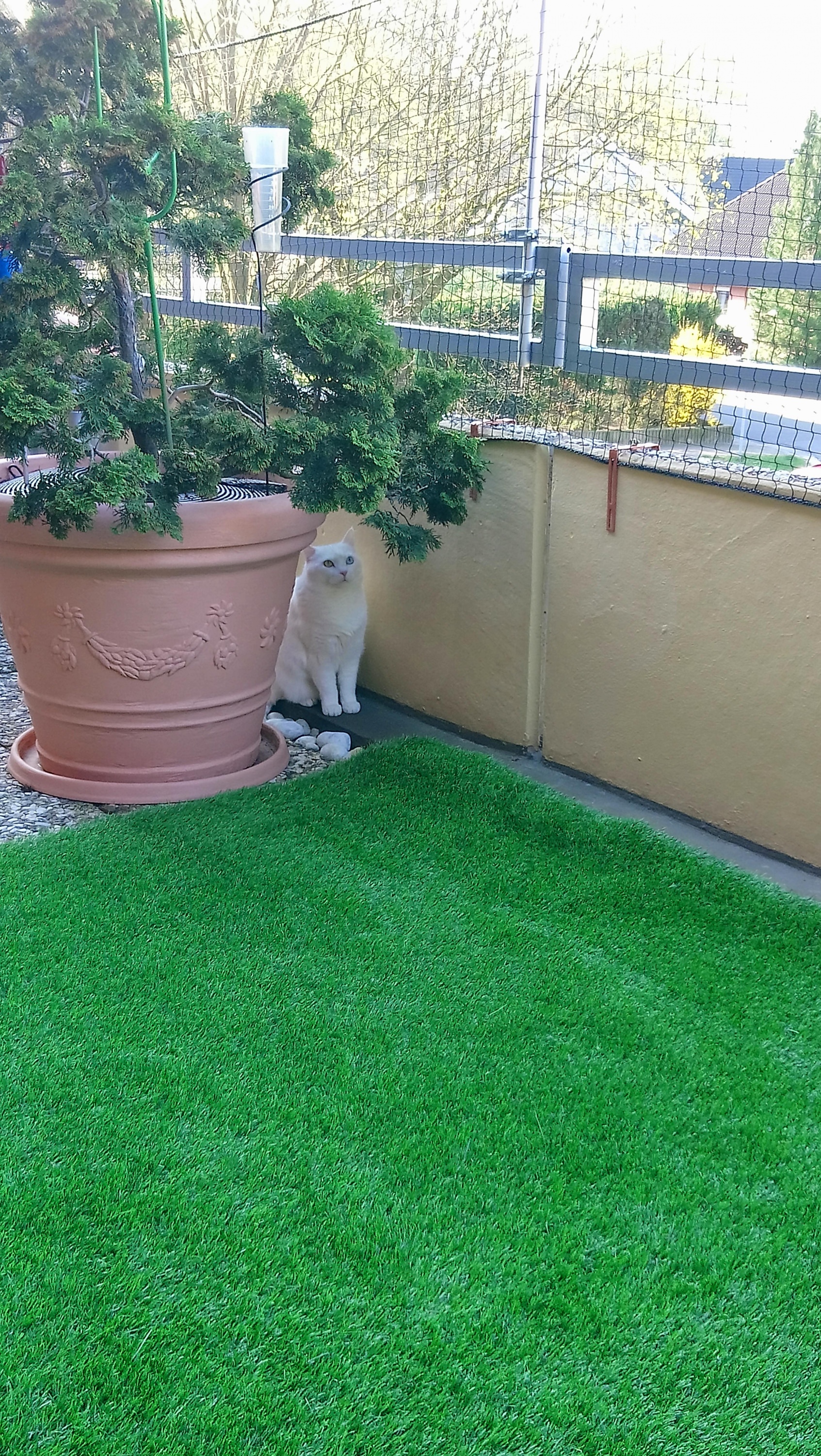 Sichere Katzennetze Fur Balkon Terrasse Garten Schutznetze24