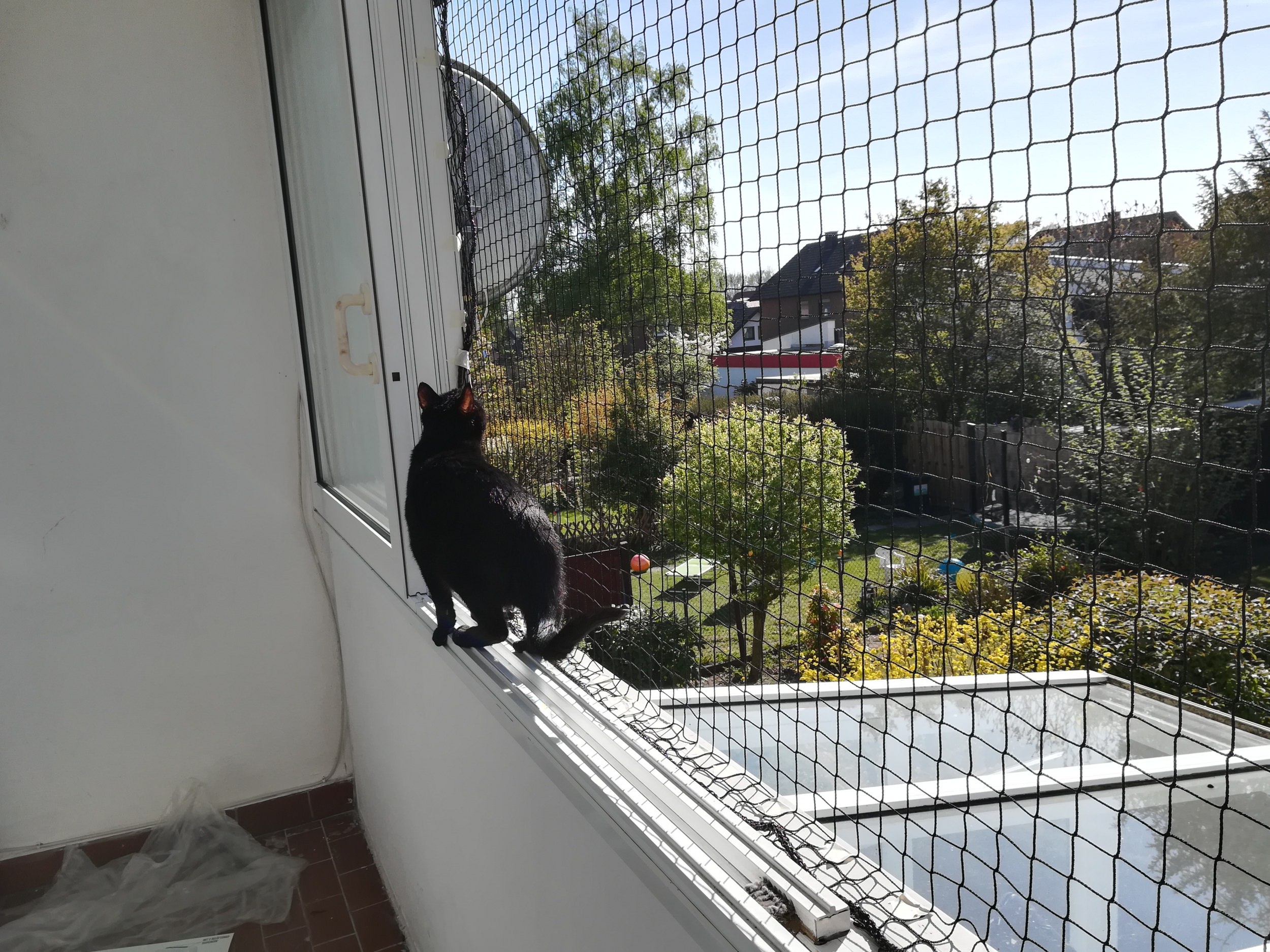 Sichere Katzennetze Fur Balkon Terrasse Garten Schutznetze24