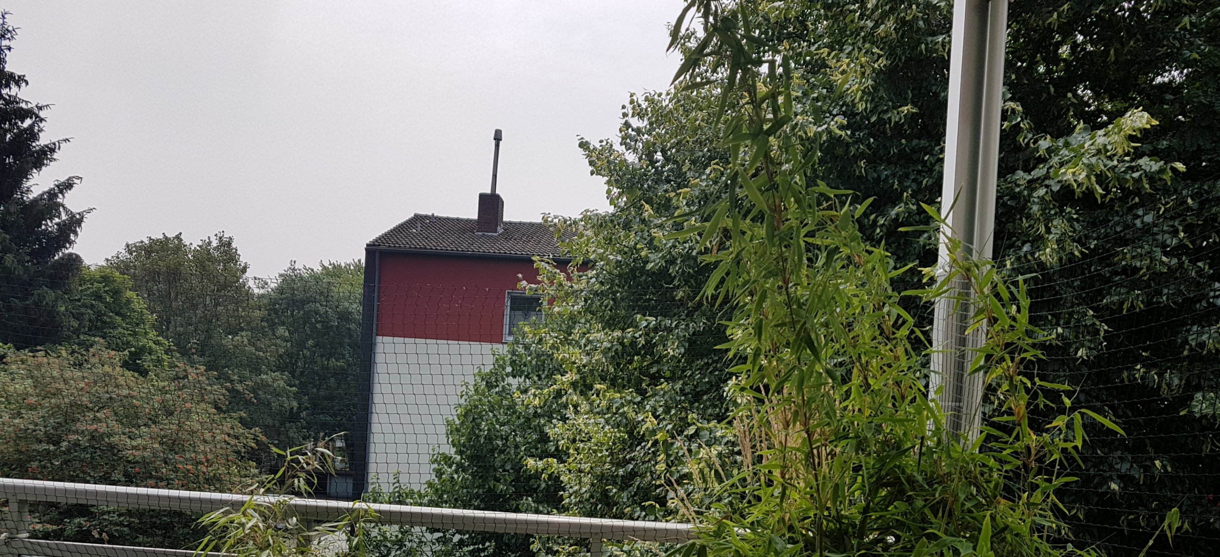 Sichere Katzennetze Fur Balkon Terrasse Garten Schutznetze24